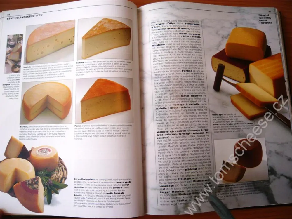 Sýry - velká encyklopedie