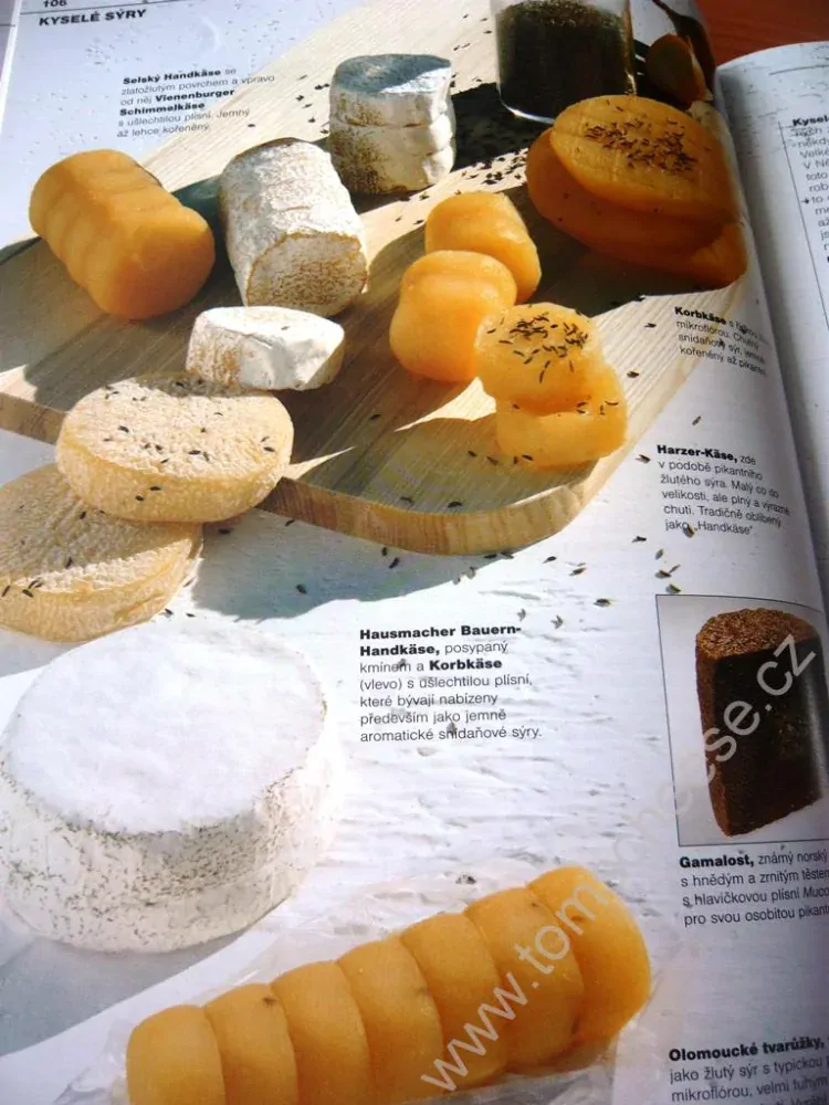 Sýry - velká encyklopedie